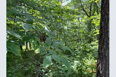 399Xx Oriole Court, Browerville, MN 56438 - Photo 5