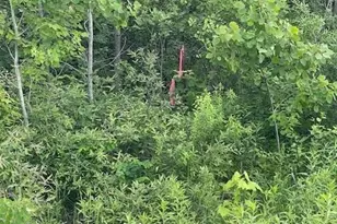 Tbd Parcel I Fox Rd, Hinckley, MN 55037 - Photo 1