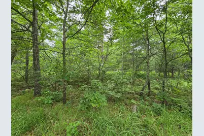 Xxx Saylors Lane, Siren, WI 54872 - Photo 5