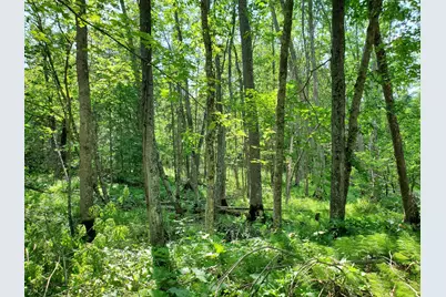 23635 County Road 36, Emily, MN 56447 - Photo 25