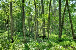 23635 Co Rd 36, Emily, MN 56447 - Photo 25