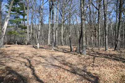 38869 Odin Court, Ward Twp, MN 56438 - Photo 13