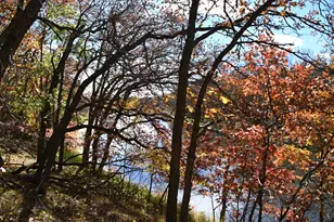 38869 Odin Ct, Ward Twp, MN 56438 - Photo 1