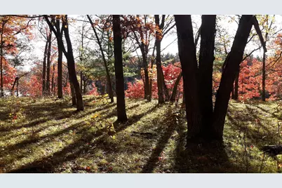 38869 Odin Court, Ward Twp, MN 56438 - Photo 17