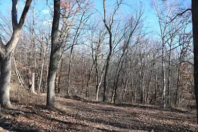 Tbd Ottawa Drive, Fawn Lake Township, MN 56438 - Photo 11