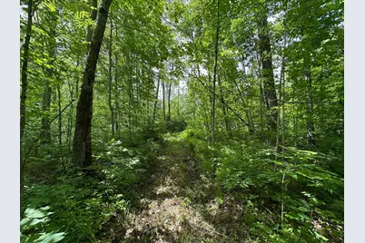 Tbd Tamarac Road, Onamia, MN 56353 - Photo 3