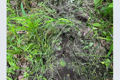 Tbd Tamarac Road, Onamia, MN 56353 - Photo 29