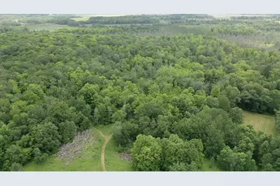 Tbd Tamarac Road, Onamia, MN 56353 - Photo 5