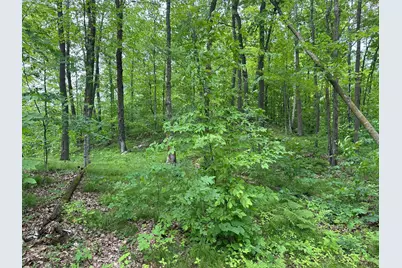 Tbd Tamarac Road, Onamia, MN 56353 - Photo 43