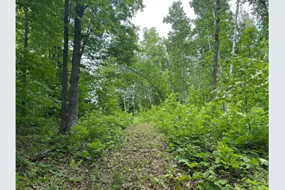 Tbd Tamarac Road, Onamia, MN 56353 - Photo 45