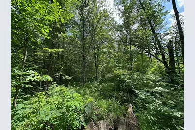 Tbd Tamarac Road, Onamia, MN 56353 - Photo 17