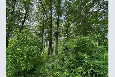 Tbd Tamarac Road, Onamia, MN 56353 - Photo 15