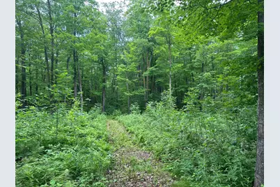 Tbd Tamarac Road, Onamia, MN 56353 - Photo 41