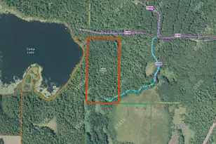 Tbd Fs 3100 Road NE, Longville, MN 56655 - Photo 1