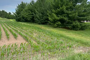 2186 132nd St, Star Prairie, WI 54017 - Photo 1