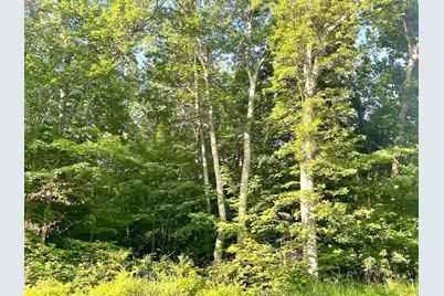 Tbd Blue Water Beach Road, Walker, MN 56484 - Photo 13