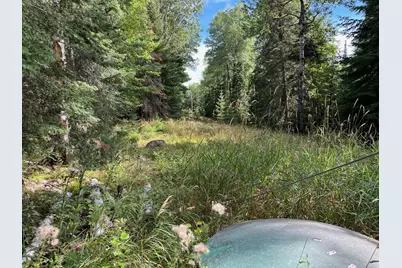 2485 Keyes Island, International Falls, MN 56649 - Photo 27