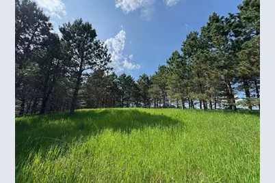 75A Hines Road NE, Hines, MN 56647 - Photo 1