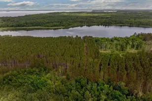 Tbd Fs 2666, Walker, MN 56484 - Photo 1