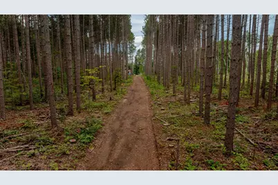 Tbd Fs 2666, Walker, MN 56484 - Photo 13