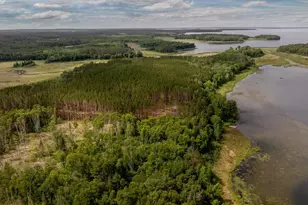 Tbd Fs 2666, Walker, MN 56484 - Photo 19