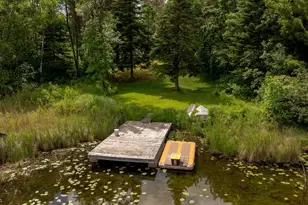 Tbd Fs 2666, Walker, MN 56484 - Photo 17