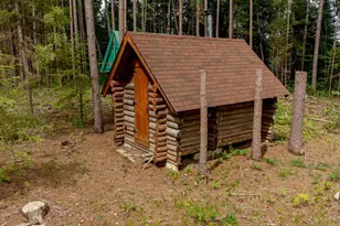 Tbd Fs 2666, Walker, MN 56484 - Photo 11