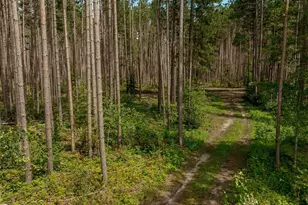 3488 State 200 NW, Walker, MN 56484 - Photo 27