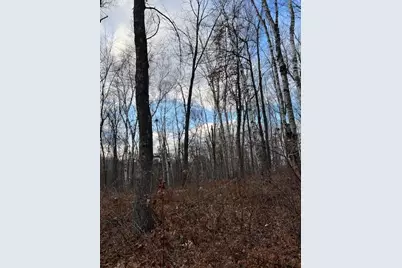 77 Acres Wickline Lane, Crosslake, MN 56442 - Photo 1