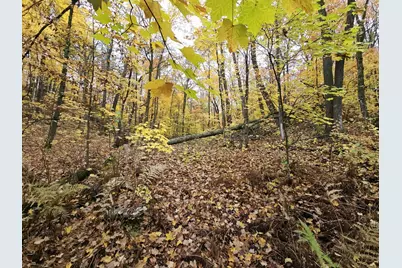 Lot 26 Block 1 Westward Ho, Roosevelt Township, MN 56450 - Photo 1