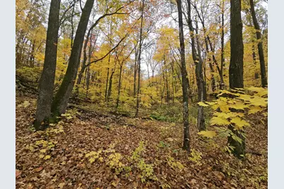 Lot 26 Block 1 Westward Ho, Roosevelt Township, MN 56450 - Photo 5