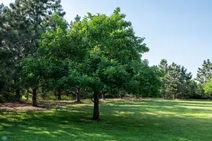 15544 60 Ave S, Glyndon, MN 56547 - Photo 83