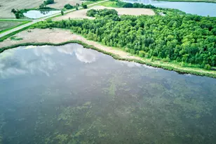 19319 380th St, Erhards Grove Twp, MN 56534 - Photo 75