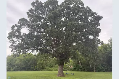 209 Lincoln Avenue NE, Twin Valley, MN 56584 - Photo 37