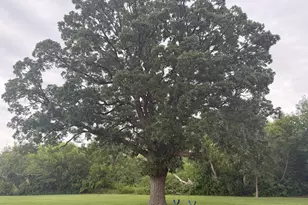 209 Lincoln Ave NE, Twin Valley, MN 56584 - Photo 37