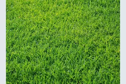 5145 Sydnie Road NW, Rochester, MN 55901 - Photo 1