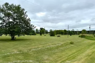 X Leaf River Rd, Ottertail, MN 56571 - Photo 1