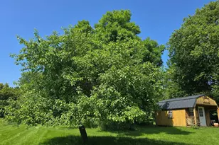 2047 60th Ave, Pipestone, MN 56164 - Photo 45