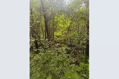 19289 Upland Street, Elk River, MN 55330 - Photo 11