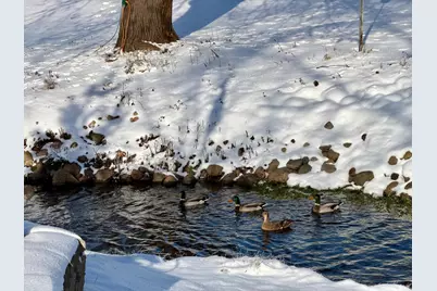 213 2nd Street N, Cold Spring, MN 56320 - Photo 53