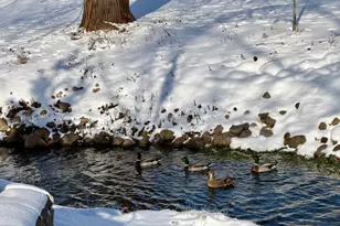 213 2nd St N, Cold Spring, MN 56320 - Photo 53