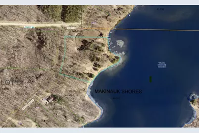 Lot 1 Turtle Lake Drive NW, Walker, MN 56484 - Photo 3