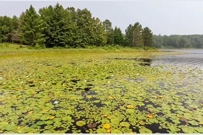 Lot 1 Turtle Lake Drive NW, Walker, MN 56484 - Photo 11
