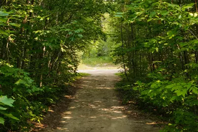Lot 2 Turtle Lake Drive NW, Walker, MN 56484 - Photo 11