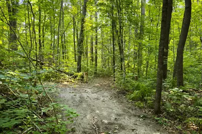 Lot 2 Turtle Lake Drive NW, Walker, MN 56484 - Photo 15