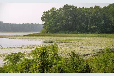 Lot 2 Turtle Lake Drive NW, Walker, MN 56484 - Photo 7