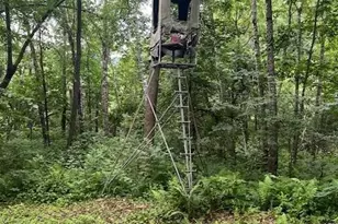 W25757 Bear Coulee Rd, Trempealeau, WI 54661 - Photo 59