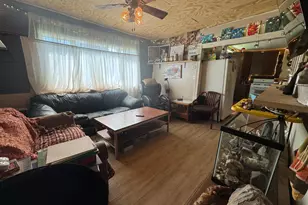 117 E Maple Ave, Frazee, MN 56544 - Photo 5