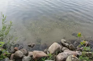 32468 Co Hwy 27, Erhard, MN 56534 - Photo 15