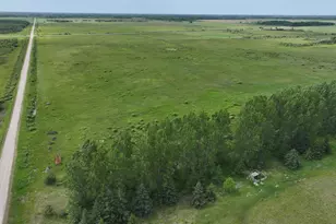 3796 300th St, Cannon Twp, MN 56734 - Photo 3